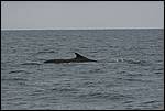 IMG_6863.JPG