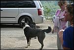 IMG_6864-1.JPG