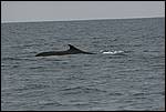IMG_6864.JPG