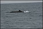 IMG_6865.JPG
