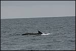 IMG_6866.JPG