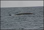 IMG_6873.JPG