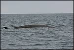 IMG_6879.JPG