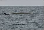 IMG_6880.JPG
