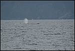 IMG_6897.JPG