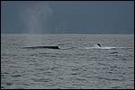 IMG_6949.JPG