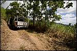 IMG_7351.jpg