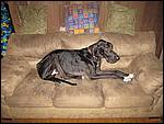IMG_1252.JPG