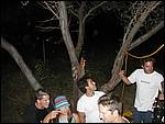 Makua Bash 240.jpg