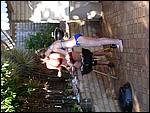 P1010008.JPG